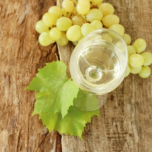 vino bianco